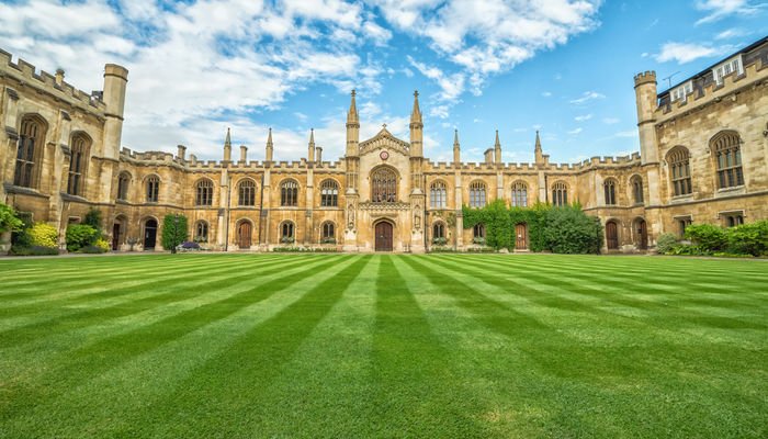 Kenyan universities goal to be “greenest within the world”